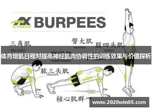 体育增肌日程对提高神经肌肉协调性的训练效果与价值探析